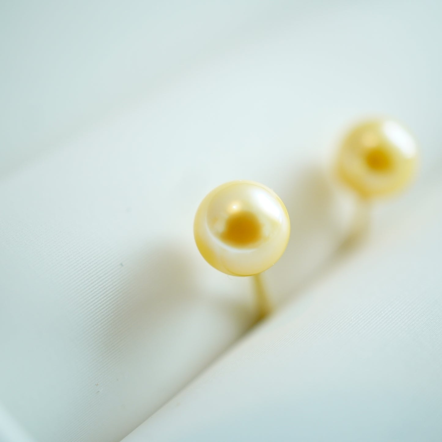 Akoya Gold Color Pearl Pierce【限定価格】